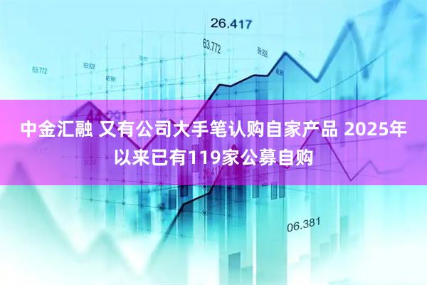 中金汇融 又有公司大手笔认购自家产品 2025年以来已有119家公募自购