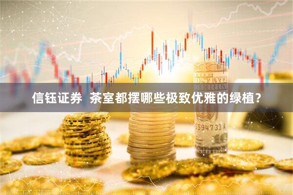 信钰证券  茶室都摆哪些极致优雅的绿植？