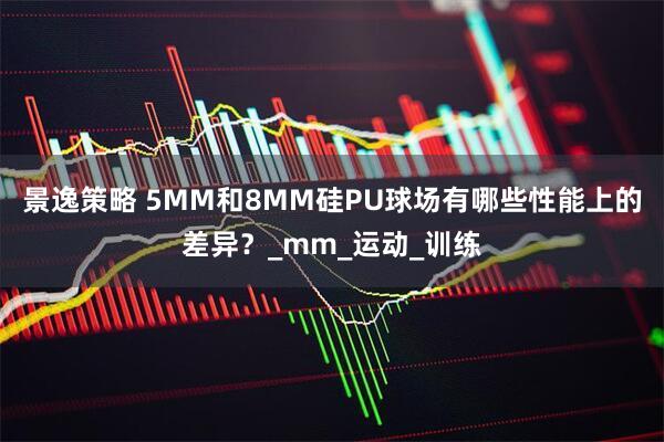 景逸策略 5MM和8MM硅PU球场有哪些性能上的差异？_mm_运动_训练