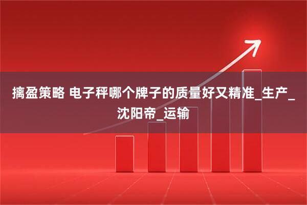 摛盈策略 电子秤哪个牌子的质量好又精准_生产_沈阳帝_运输